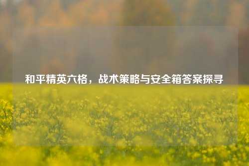 和平精英六格,战术策略与安全箱答案探寻