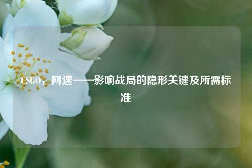 CSGO,网速——影响战局的隐形关键及所需标准