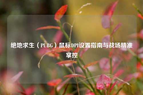 绝地求生(PUBG)鼠标DPI设置指南与战场精准掌控