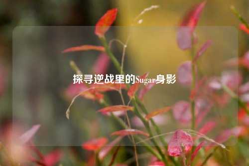 探寻逆战里的Sugar身影