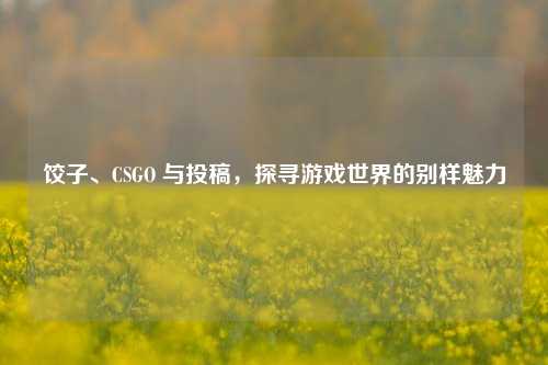 饺子、CSGO 与投稿，探寻游戏世界的别样魅力