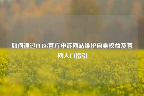 如何通过PUBG官方申诉网站维护自身权益及官网入口指引