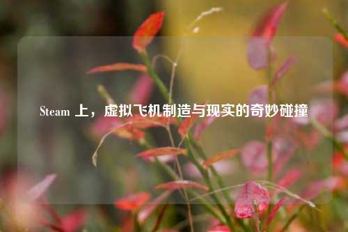 Steam 上,虚拟飞机制造与现实的奇妙碰撞
