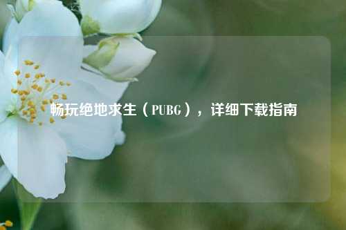 畅玩绝地求生(PUBG),详细下载指南