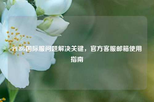 PUBG国际服问题解决关键，官方客服邮箱使用指南