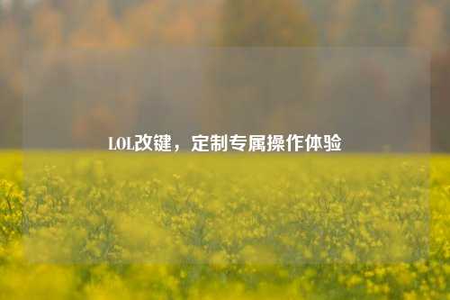 LOL改键,定制专属操作体验