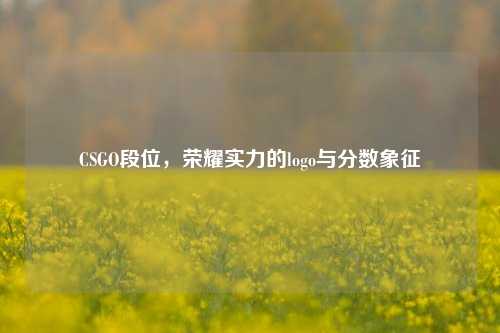 CSGO段位,荣耀实力的logo与分数象征