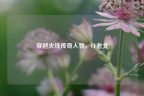 穿越火线传奇人物,CF老北