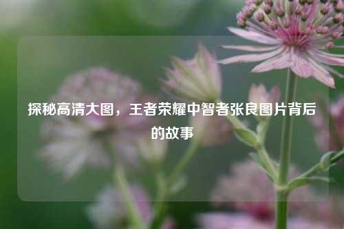 探秘高清大图，王者荣耀中智者张良图片背后的故事