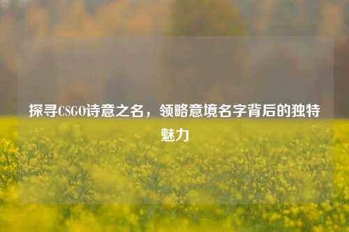 探寻CSGO诗意之名,领略意境名字背后的独特魅力