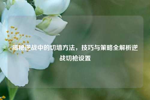 揭秘逆战中的切墙方法,技巧与策略全解析逆战切枪设置