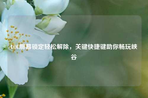 LOL屏幕锁定轻松解除，关键快捷键助你畅玩峡谷