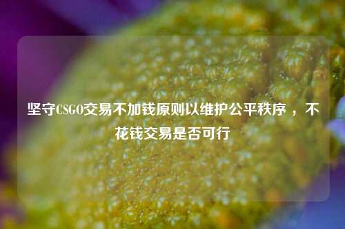 坚守CSGO交易不加钱原则以维护公平秩序 ,不花钱交易是否可行