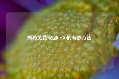 揭秘免费取回CSGO的有效方法