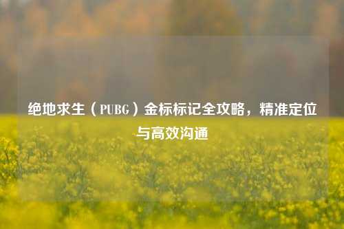 绝地求生(PUBG)金标标记全攻略,精准定位与高效沟通