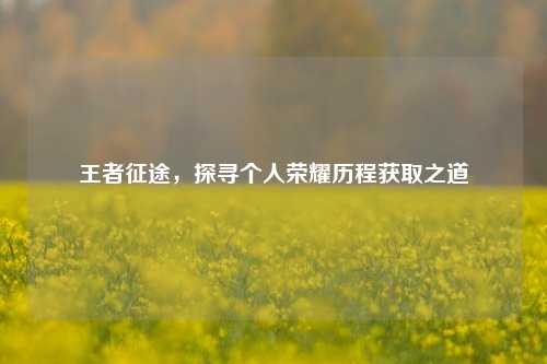 王者征途，探寻个人荣耀历程获取之道