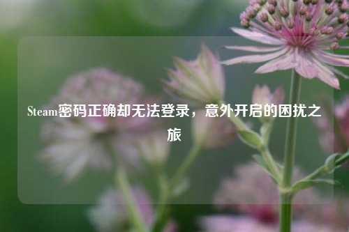 Steam密码正确却无法登录,意外开启的困扰之旅