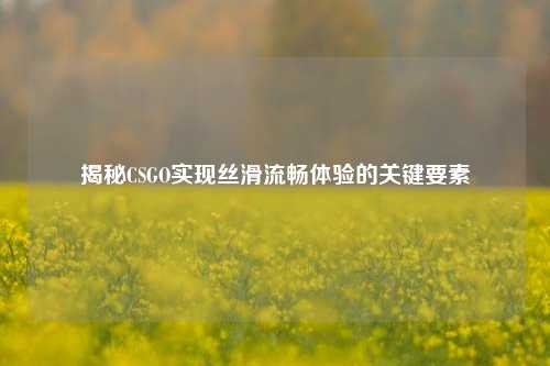揭秘CSGO实现丝滑流畅体验的关键要素