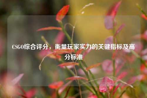 CSGO综合评分,衡量玩家实力的关键指标及高分标准