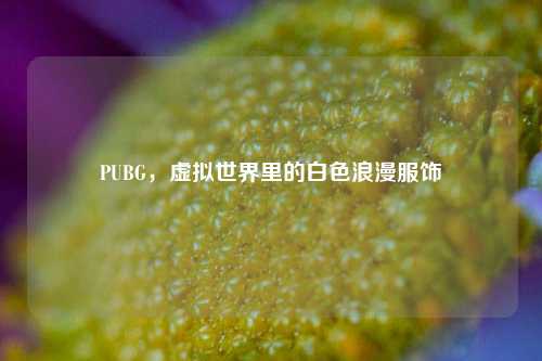 PUBG，虚拟世界里的白色浪漫服饰