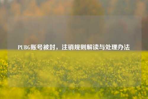 PUBG账号被封,注销规则解读与处理办法