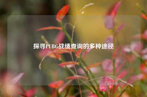 探寻PUBG战绩查询的多种途径