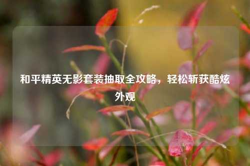 和平精英无影套装抽取全攻略,轻松斩获酷炫外观