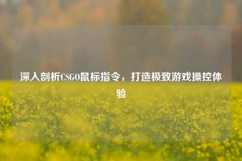 深入剖析CSGO鼠标指令,打造极致游戏操控体验