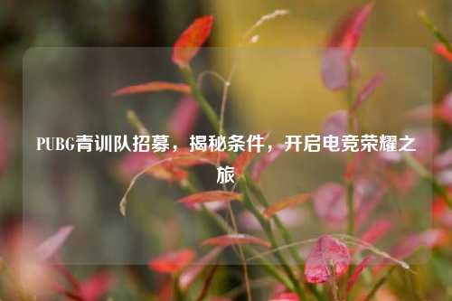 PUBG青训队招募，揭秘条件，开启电竞荣耀之旅