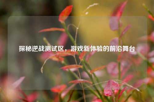探秘逆战测试区,游戏新体验的前沿舞台