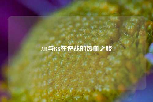 AD与BB在逆战的热血之旅