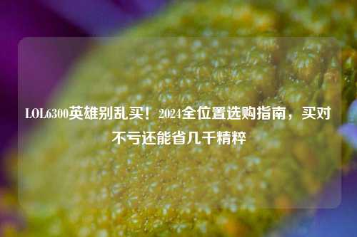 LOL6300英雄别乱买!2024全位置选购指南,买对不亏还能省几千精粹
