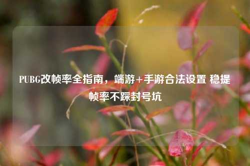 PUBG改帧率全指南，端游+手游合法设置 稳提帧率不踩封号坑