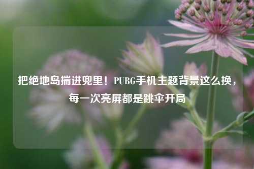 把绝地岛揣进兜里!PUBG手机主题背景这么换,每一次亮屏都是跳伞开局