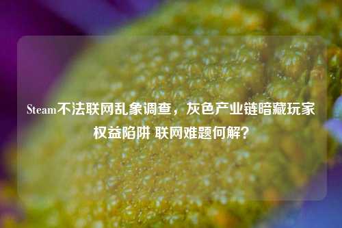 Steam不法联网乱象调查，灰色产业链暗藏玩家权益陷阱 联网难题何解？