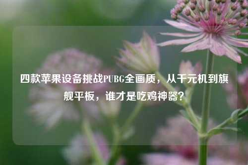 四款苹果设备挑战PUBG全画质,从千元机到旗舰平板,谁才是吃鸡神器?