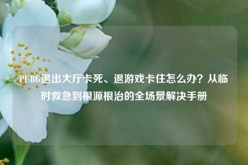 PUBG退出大厅卡死、退游戏卡住怎么办?从临时救急到根源根治的全场景解决手册