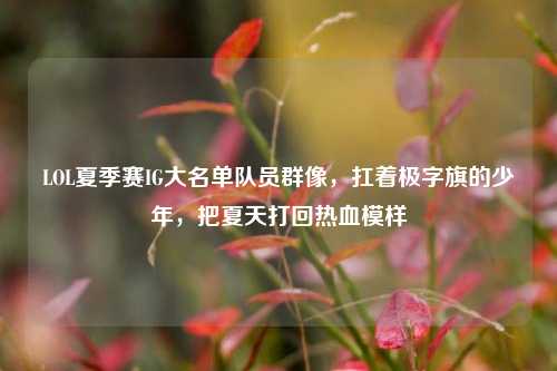 LOL夏季赛IG大名单队员群像，扛着极字旗的少年，把夏天打回热血模样