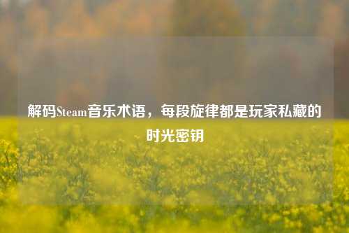 解码Steam音乐术语，每段旋律都是玩家私藏的时光密钥