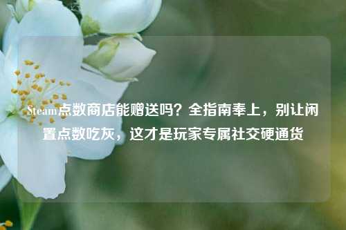 Steam点数商店能赠送吗?全指南奉上,别让闲置点数吃灰,这才是玩家专属社交硬通货