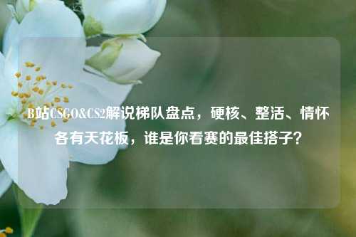 B站CSGO&CS2解说梯队盘点,硬核、整活、情怀各有天花板,谁是你看赛的最佳搭子?
