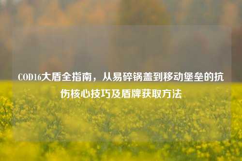 COD16大盾全指南，从易碎锅盖到移动堡垒的抗伤核心技巧及盾牌获取方法