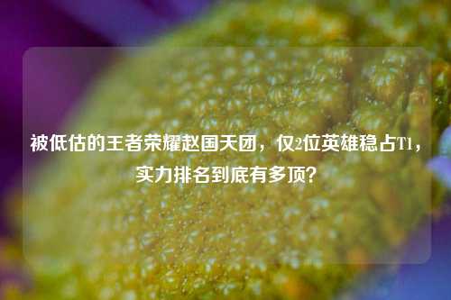 被低估的王者荣耀赵国天团,仅2位英雄稳占T1,实力排名到底有多顶?