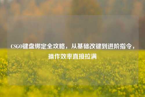 CSGO键盘绑定全攻略,从基础改键到进阶指令,操作效率直接拉满