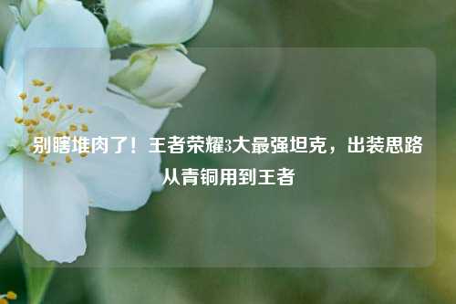 别瞎堆肉了!王者荣耀3大最强坦克,出装思路从青铜用到王者