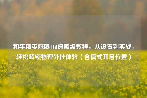 和平精英鹰眼11d保姆级教程，从设置到实战，轻松解锁物理外挂体验（含模式开启位置）