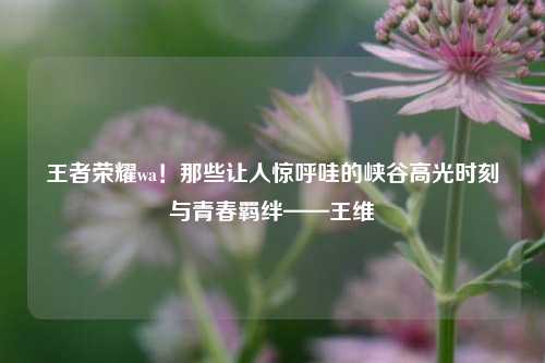 王者荣耀wa！那些让人惊呼哇的峡谷高光时刻与青春羁绊——王维