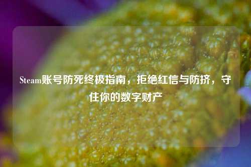 Steam账号防死终极指南,拒绝红信与防挤,守住你的数字财产