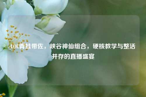 LOL青蛙带佐,峡谷神仙组合,硬核教学与整活并存的直播盛宴