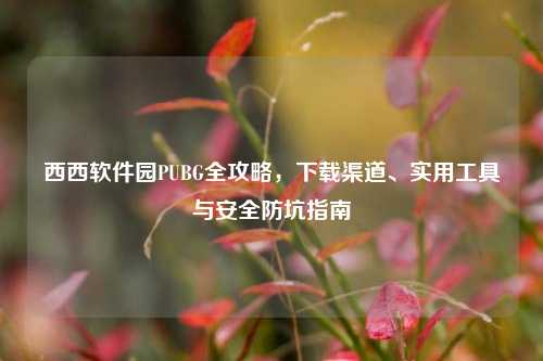 西西软件园PUBG全攻略，下载渠道、实用工具与安全防坑指南
